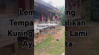 Saha Anu Masih Inget Ka Lembur Mun Tos Lami Aya Di Kota lemburkuring lagusunda nyabagam