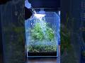 Filling my nano cube aquarium (Purevue 5.5 Gallon Cube)