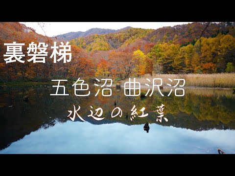【裏磐梯 水辺の紅葉】湖沼に紅葉が映える五色沼、曲沢沼