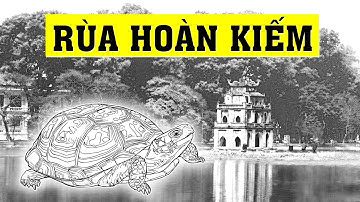 Cụ rùa Hoàn kiếm và những điều bí ẩn bạn biết chưa?