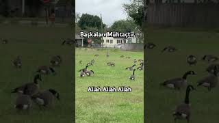 🔥Doksan Dokuz Esma Allah Allah Allah