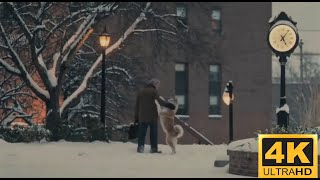 Hachiko (Siempre a tu lado) - Full Music Movie Album - Instrumental Reflexive Piano