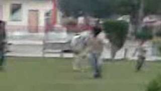 Video004.3gp