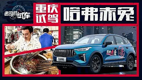 老司机试车：7.7秒破百，年轻运动的国产SUV，哈弗赤兔动态评测 - 天天要闻