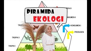 PIRAMIDA EKOLOGI