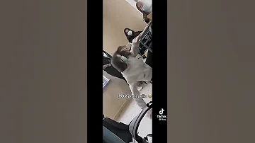 لو اغمى عليك او عليس في المدرسه من تتوقعين يجيك ركض وخوفها عليس ك انا بيست فرند روان زي الي فيد 