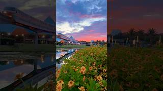 Sunset at Epcot! #epcot #disneyworld #sunset #monorail