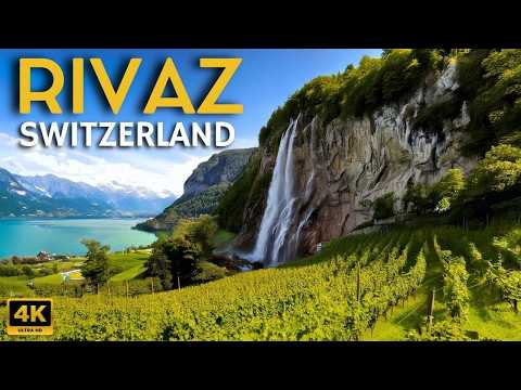 Autumn Magic in Swiss Vineyards: Lake Geneva Sunset 4K 🇨🇭