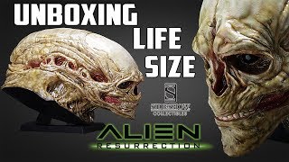 Unboxing Life Size Newborn Alien Bust By Sideshow