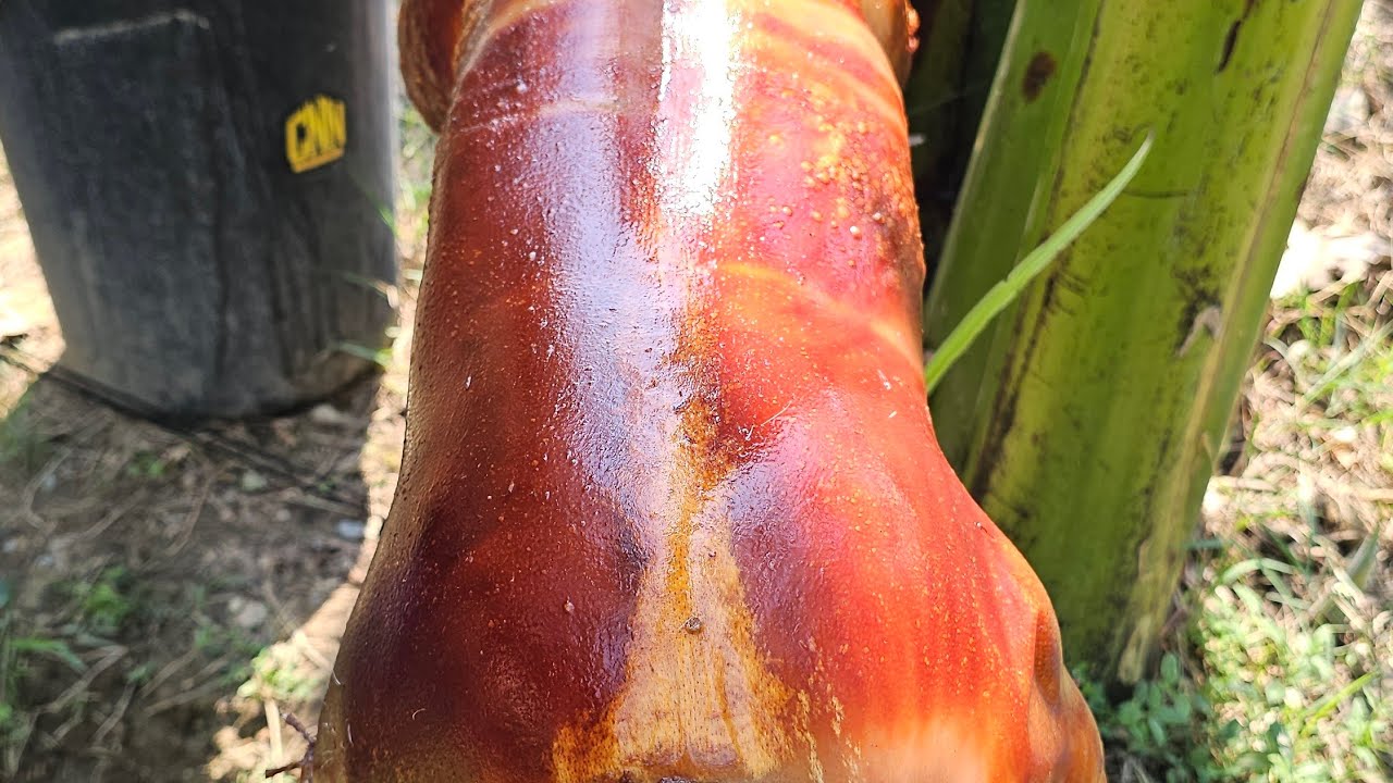 LECHONG PUGOT NAPAGOD |Team AgustinTV 