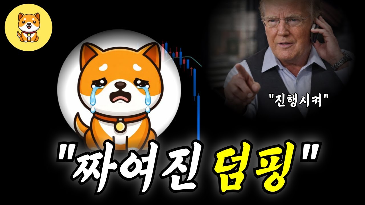 [베이비도지코인] 앞으로 