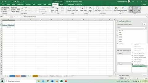 Spreadsheet Video9 Pivot Tables