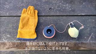 Mt. Ishizare Activation (JA/KN-030)