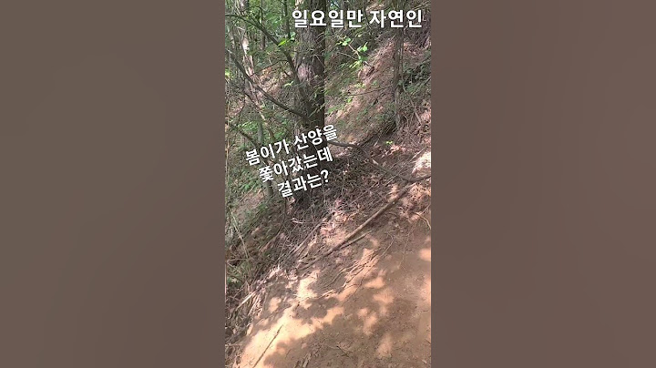 산양한테 얻어맞고 온 옆집강아지~#산삼산행#강원도#강아지#산양#야생#자연#nature#산삼#garden