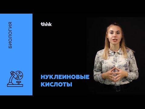 Нуклеиновые кислоты |