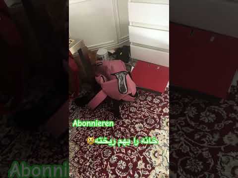 اولاد بی تربیت