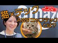 『AWS にゃんテック』ってにゃんだ？？？　アマゾンウェブサービスジャパンの斬新すぎるイベントに潜入取材！主催者やイベント登壇者に話を聞いてきました。