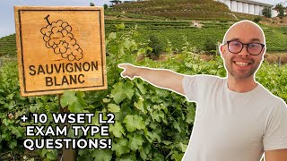 Sauvignon Blanc: Everything You Need to Know-WSET Level 2 in Wines (+10 WSET exam-type questions)