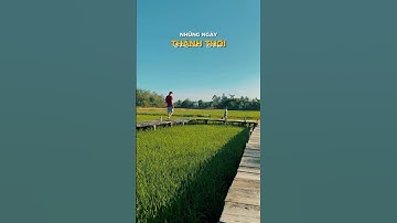 Một sáng nắng thơm mùi cây cỏ tại The Ruộng resort 🥰🥰