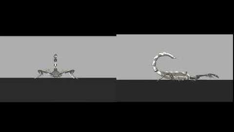 Scorpion walk test animation.