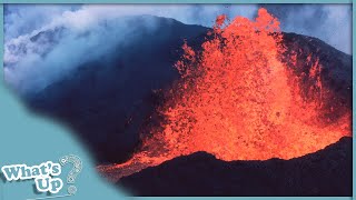 Exploring the Volcanic Majesty: Hawaii&#39;s Dynamic Landscape