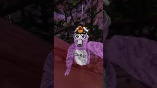 Throwing Dug The Bug 20 Times #gorillatag #gorillatagquest #vr #gtag #funny