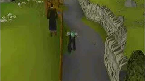 Runescape Funny Random Stuff 3