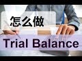 第八课 怎么做Trial Balance