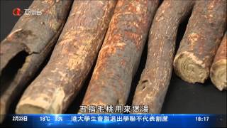 范樂蘅 2015年2月23日 醫生建議行山人士被蟲咬先用水沖洗 1800