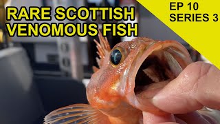 Catching Scotlands Weirdest Fish Species Hunt Ep 50