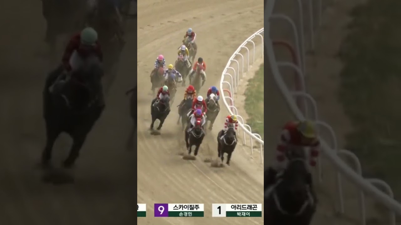 32배두방으로적중11-12