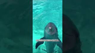 This Animal Has Its Own Name?!