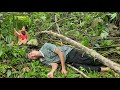 Single mother harvests squash to sell  old man goes to the forest to collect firewood and falls