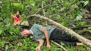 Single mother harvests squash to sell - old man goes to the forest to collect firewood and falls by Lý Thị Chanh 9,931 views 2 weeks ago 28 minutes