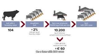 CRV Feed efficiency: how it works in practice
