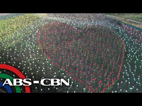 Video: Ang Mga Lalaking Naka-uniporme Ay Nagpakita Ng 400 Mga Tulip Sa Mga Kababaihan Ng Tyumen