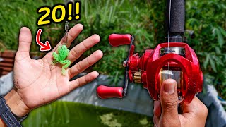 Fishing with the Cheapest Rubber Frog... Will It Catch Anything!!