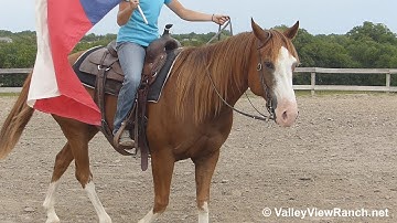 Ford - flag, rope, tarp! - ValleyViewRanch.net