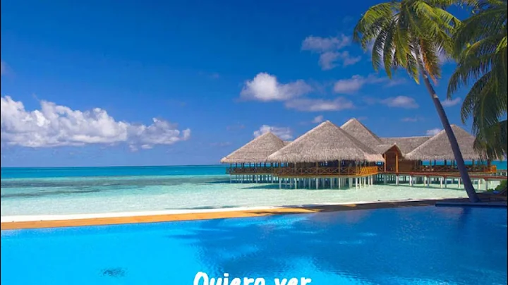 David Tavare - Summer Love (Lyrics)