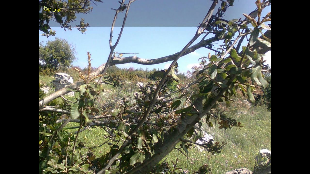 عيتا الشعب جنوب لبنان