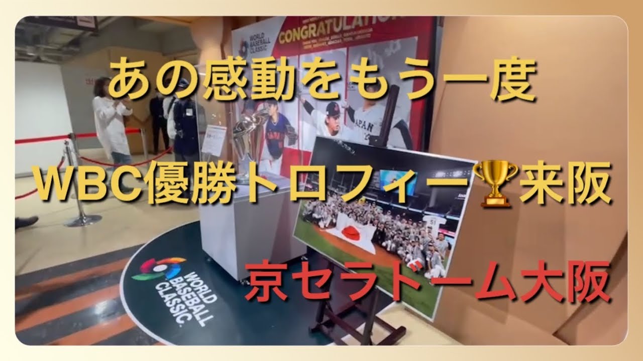 京セラドーム 年間 シート 最高 席 1枚 即決 16000円を 9000円にて WBC