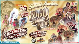 Live Jaranan ROGO SAMBOYO PUTRO Live PaceWetan Pace Nganjuk PELANGI AUDIO