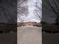 Prague Palace #czechrepublic #shortvideo #shorts #short #prague #sakura
