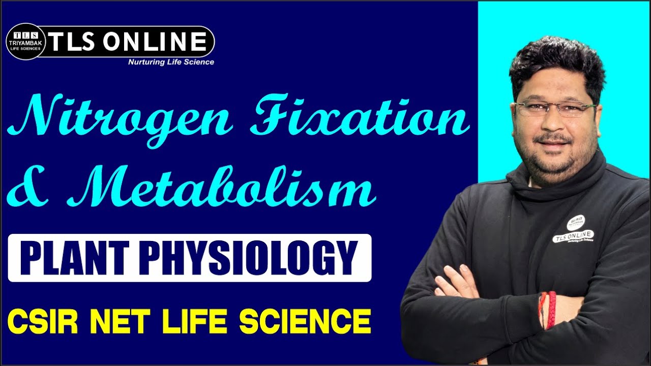 Nitrogen Fixation & Metabolism | Unit 6 Plant Physiology | CSIR NET Life Sciences |