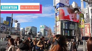 セブンティーン seventeen reaction セブチ 舞い落ちる花びら seventeen heaven 세븐틴 일본 설날인사 クロス新宿 seventeen japan