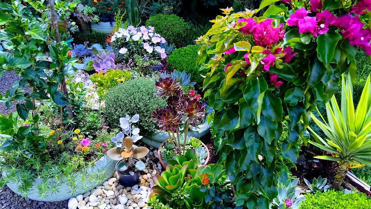 Meu cantinho encantado.paraiso de flores e cores.convite aceito 🌹🌼