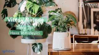 Doğal Hava Temizleme Teknolojisi: Vitesy Natade Smart ile Tanışın! 🌿✨