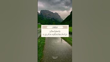 القارئ سعد الغامدي| سوره الحشر
