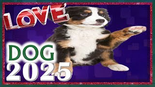 Dog Horoscope 2025 | Love | Born 2018, 2006, 1994, 1982, 1970, 1958, 1946, 1934