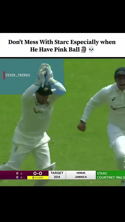 Mitchell Starc smooth delivery 🚚 #cricket #shorts